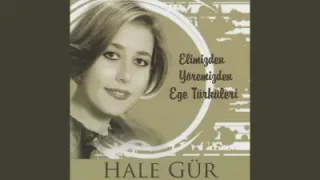 Hale Gür Köyceğiz Yolları