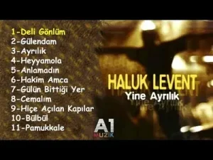 Haluk Levent Deli Gönlüm Albüm Kapağı
