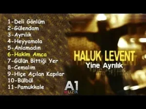 Haluk Levent Hakim Amca