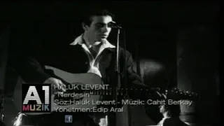 Haluk Levent Nerdesin
