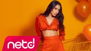 Hande Ünsal Nerdesin Albüm Kapağı