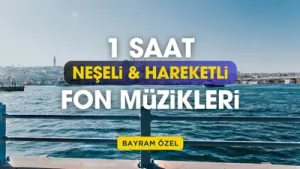 Hareketli Fon Müzikleri Albüm Kapağı