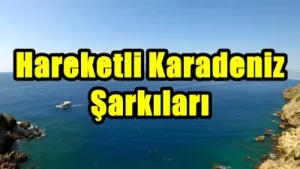 Hareketli Karadeniz Müzikleri Albüm Kapağı