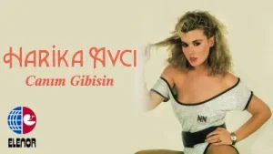Harika Avcı Anlatabilsem