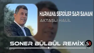 Harmana Serdiler Sarı Samanı Aktaşlı Halil Oyun Havası Albüm Kapağı