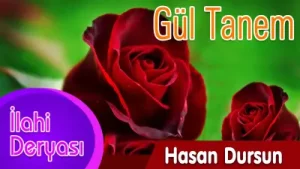 Hasan Dursun Gül Tanem Albüm Kapağı
