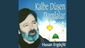 Hasan Ergüçlü Hani Nerdeler