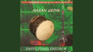 Hasan Gedik Kavak