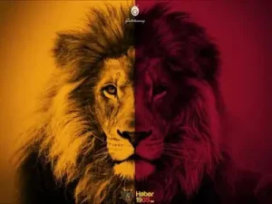 Haydi Bastır Galatasaray Albüm Kapağı