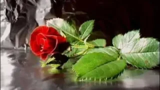 Helin Hasretimsin