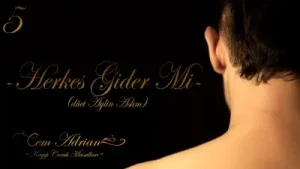 Herkes Gider mi Albüm Kapağı
