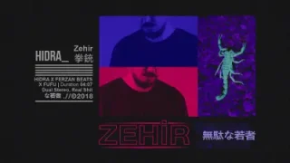 Hidra Zehir