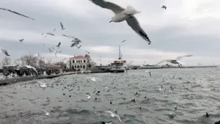 Hiraizerdüş Duy Beni