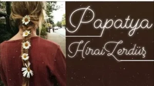 Hiraizerdüş Papatya Albüm Kapağı
