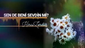 Hiraiîzerdüş Seven Eder mi Böyle Albüm Kapağı