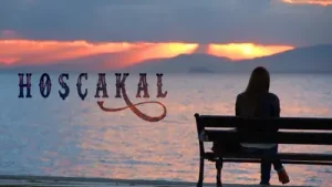 Hoşçakal Instrumental Duygusal Albüm Kapağı