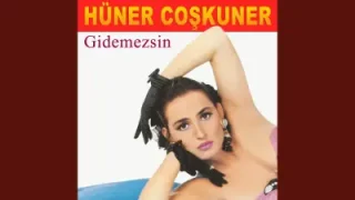 Hüner Coşkuner Seni Nasıl Unuturum