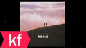 Hüseyin Akgüneş – Ayıp Oldu Albüm Kapağı
