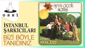 İstanbul Şarkıcıları Bizi Böyle Tanıdınız