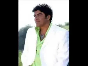 İbrahim Erkal Gitme 2008 Albüm Kapağı