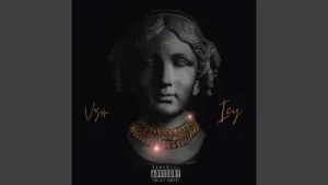Icy Feat Vzin Chain Albüm Kapağı