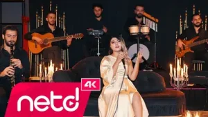 İlayda İdem Sözünden Caydı Gitti Albüm Kapağı