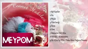 İlhan İrem Bile Bile Bilmezcesine Albüm Kapağı