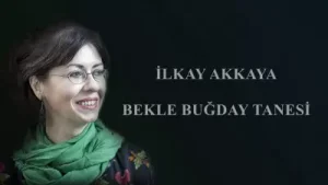 İlkay Akkaya Bekle Buğday Tanesi Albüm Kapağı