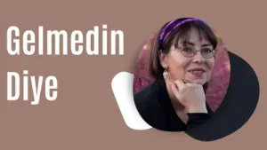 İlkay Akkaya Gelmedin Diye Albüm Kapağı