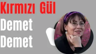 İlkay Akkaya Kırmızı Gül Demet Demet