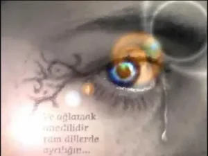 İlkay Akkaya Yarim Albüm Kapağı