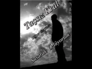 İlkay Toktaş Çilekeş Albüm Kapağı