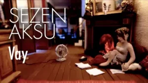 İnsan Biraz Olsun Akıllanmaz Mı Albüm Kapağı