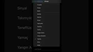 Iphone Zil Sesleri Albüm Kapağı