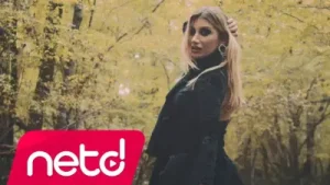 İrem Derici Tek Tabanca Albüm Kapağı