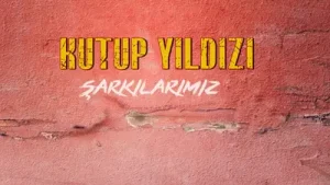Işık Berfin Bir Ndarim Albüm Kapağı