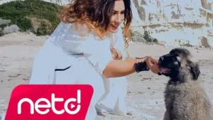 Işın Karaca Serçe Albüm Kapağı