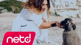 Işın Karaca Serçe