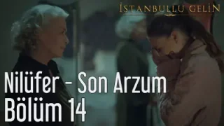 İstanbullu Gelin Son Arzum Nilüfer