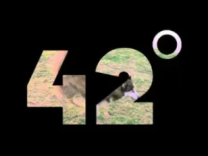 Jay Z La Familia Albüm Kapağı