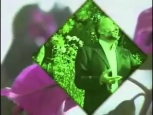 Kabrimin İlk Gecesi Azaptayım Anneciğim Gel 2 Albüm Kapağı