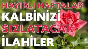 Kalpleri Coşturan Harika İlahiler Hayırlı Haftalar Albüm Kapağı