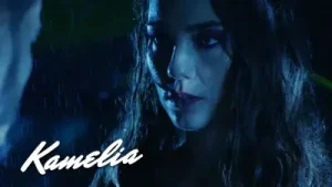 Kamelia Suave Albüm Kapağı