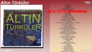 Kamil Özdemir Bir Yiğit Gurbete Gitse Albüm Kapağı