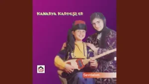 Kanarya Kardeşler Düşünmeden Kanıma Girdin Albüm Kapağı