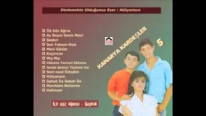 Kanarya Kardeşler Hülyamısın Albüm Kapağı