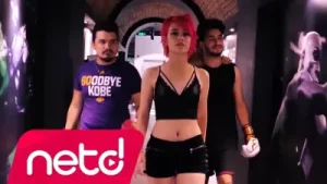 Kapasite – Salla Gitsin Albüm Kapağı