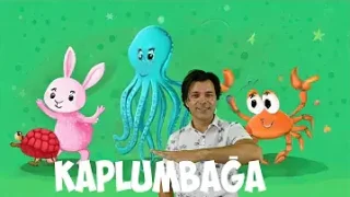 Kaplumbağa Çocuk Şarkısı Onur Erol