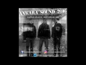 Kaptan Anadol Hayvanlar Gibi Original Mix