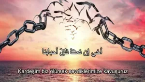 Kardeşim Sen Özgürsün İlahisi Albüm Kapağı